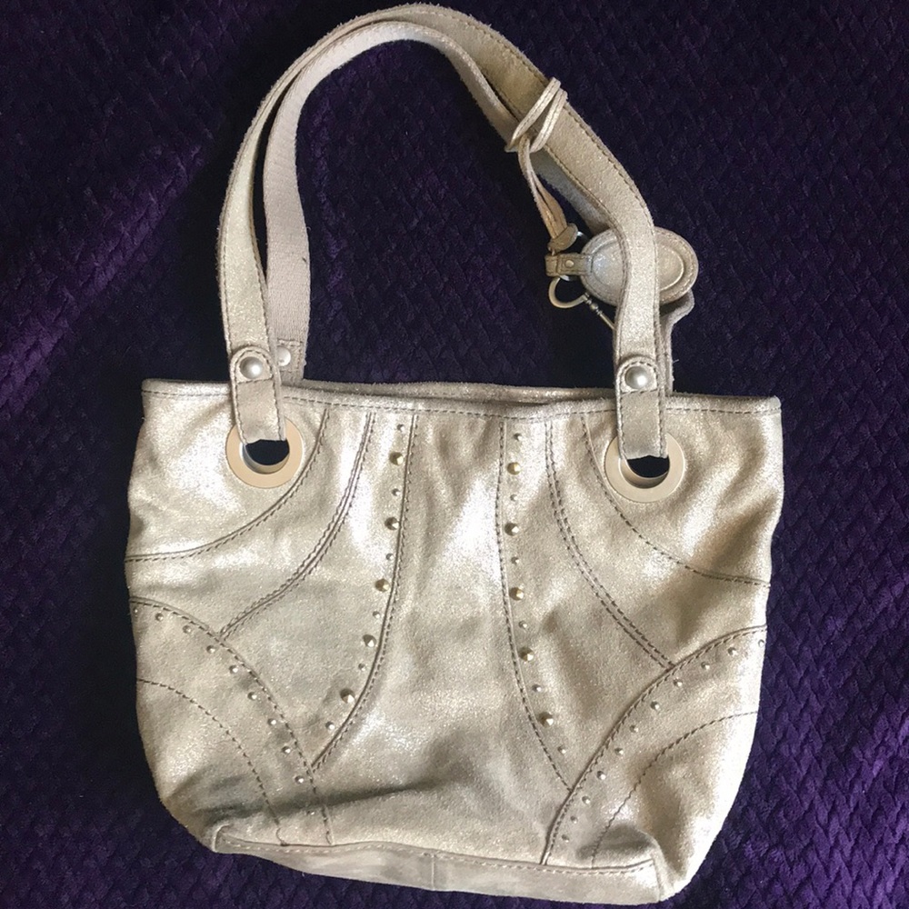 Shimmery Fossil Bag